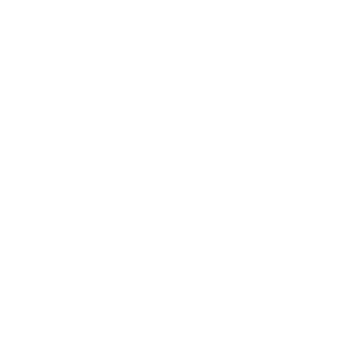 espinoza_logo_branca_transparente